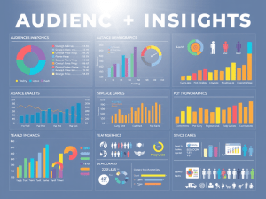 Audience Insights Dashboard